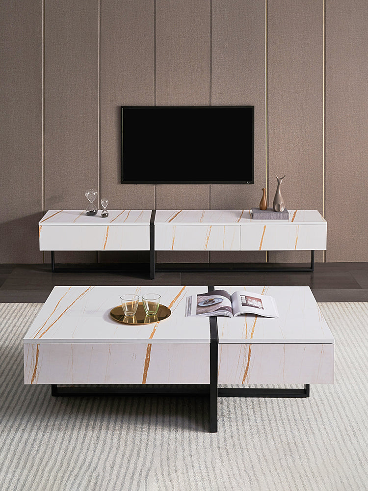 Coffee Table & TV Stand - 302